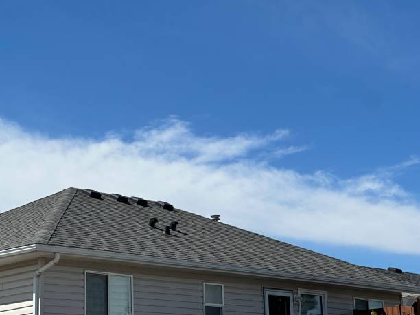 Byron, MN Roof Repair & Installaion Company